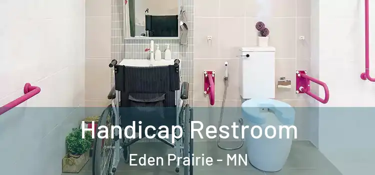 Handicap Restroom Eden Prairie - MN