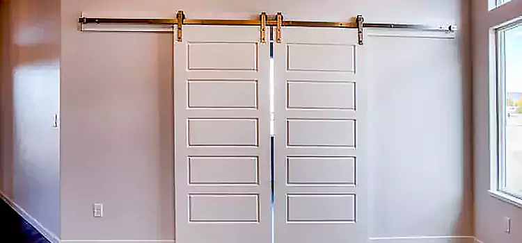 Glass Barn Door with Installation Hardware Kit Eden Prairie