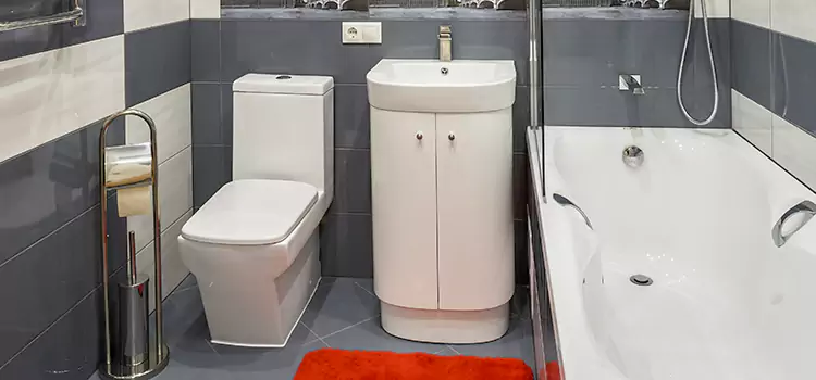 Hansgrohe Shaving Mirror Eden Prairie